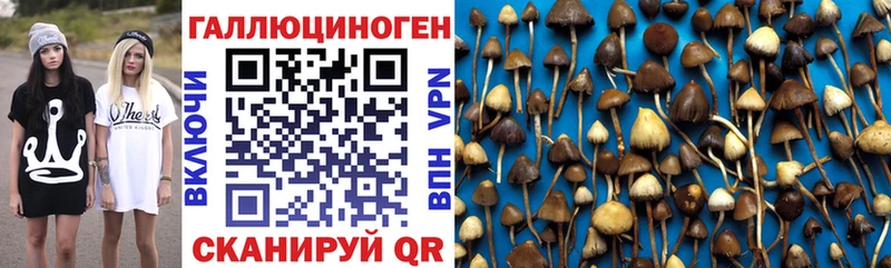 Купить закладки  Дюртюли  Псилоцибиновые грибы мухоморы 